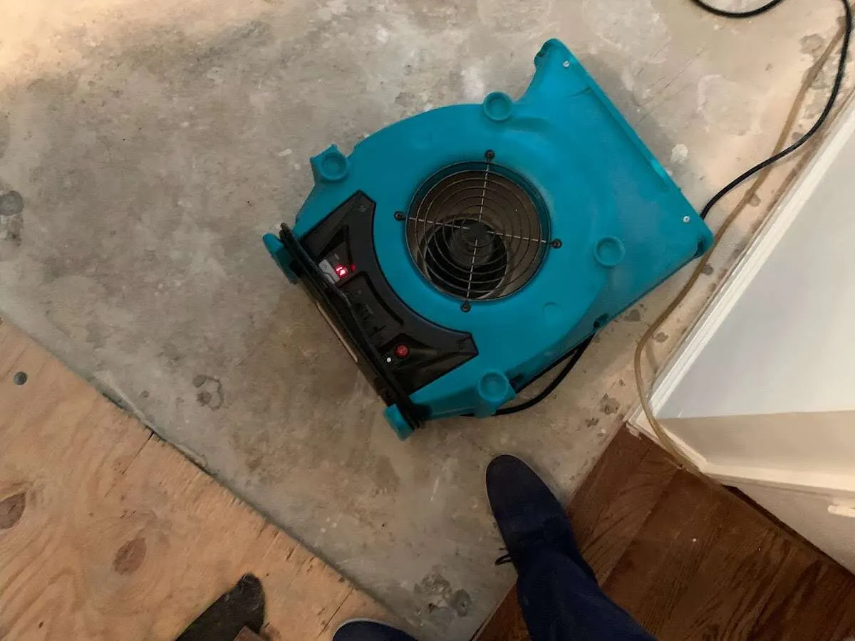 Air mover drying subfloor during Commercial Water Damage Restoration in Philomath